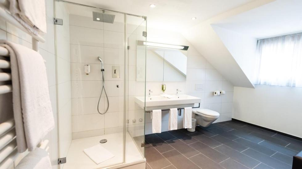 Hotel Rochat 3*